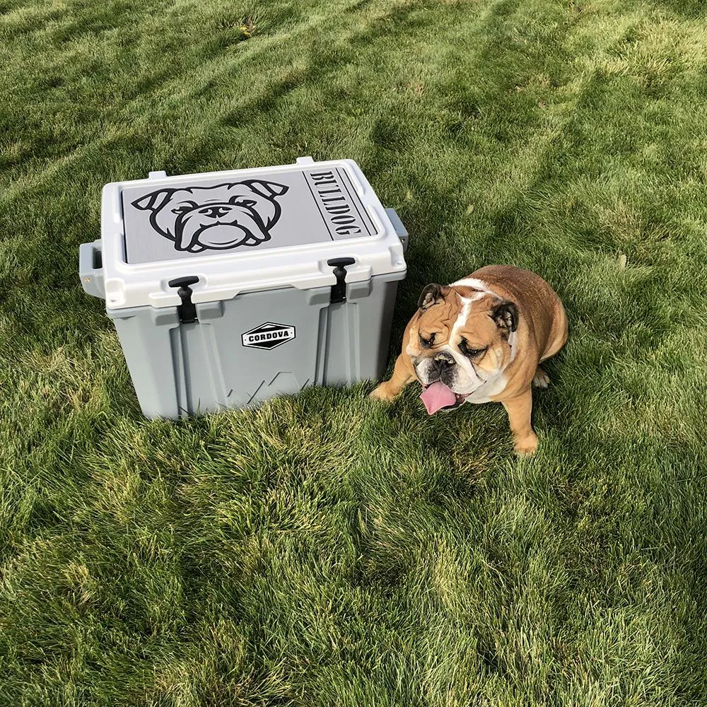 Dachshund Name - DG/AQ